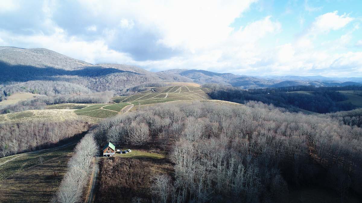 mouth of wilson white and green fields under blue sky photography during daytime farmland